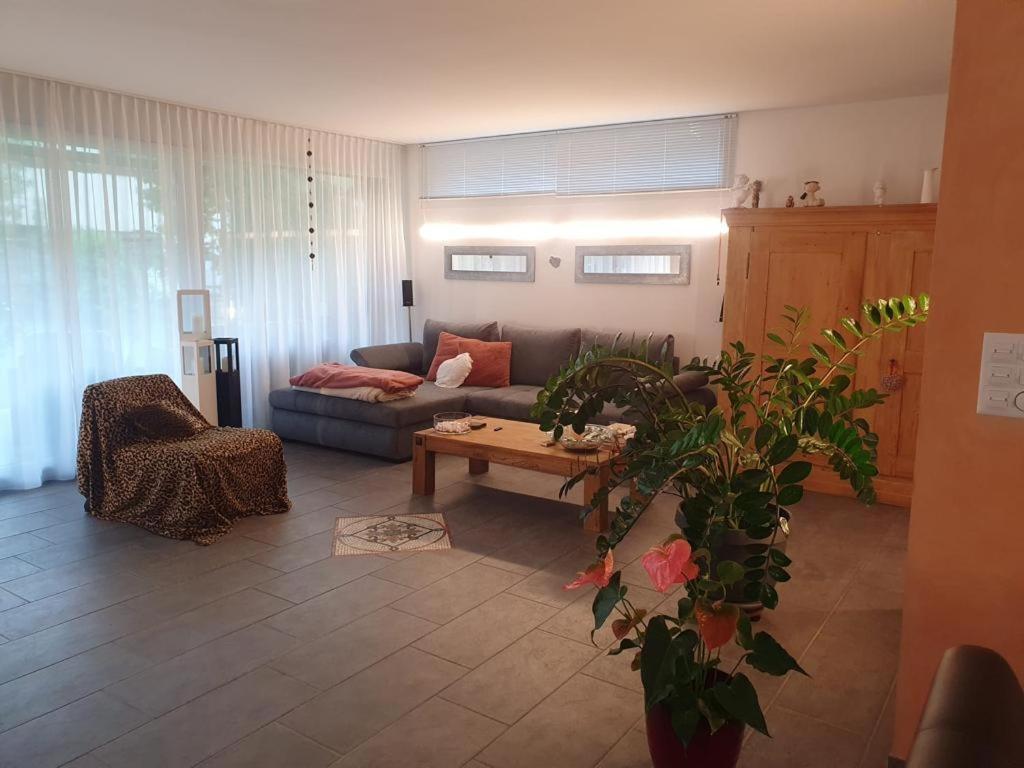 Casa Nadja, Naehe Skigebiet Flims-Lax Ems Zewnętrze zdjęcie
